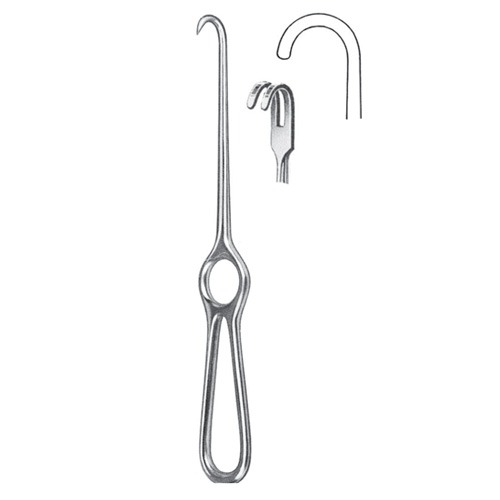 Kocher Retractor, 2 Prongs, Blunt, 22cm