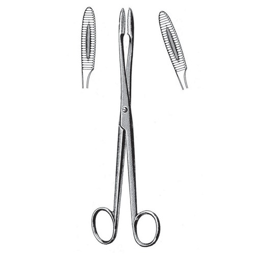 Gross Maier Cotton Swab Forceps, Screw Joint, Cvd, 16cm