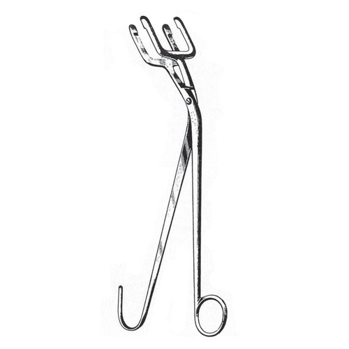 Harrison Sterilizing Forceps, 25cm