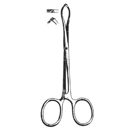 Porrier Tissue Holding Forceps, 18cm