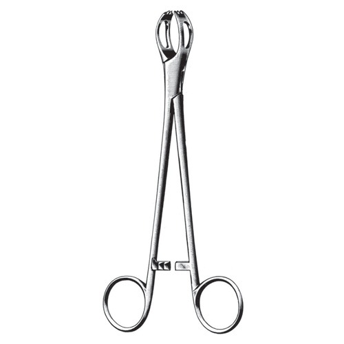 Lane Organ Holding Forceps, Box Joint, 15cm