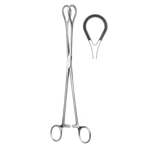 Atrauma Organ Holding Forceps, Box Joint, 25cm