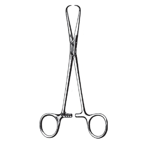 Bernhard Towel Clamp Forceps, 16.5cm