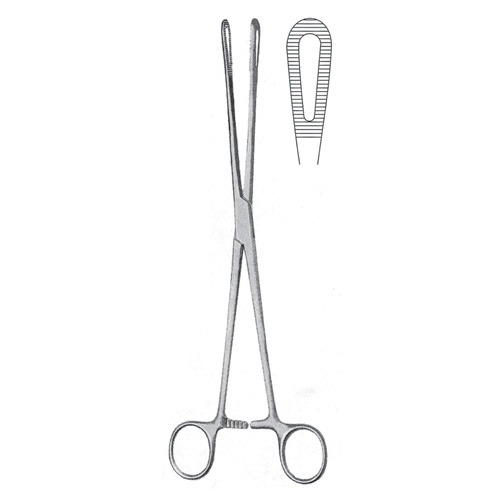 Rampley Sponge Holding Forceps, 24cm