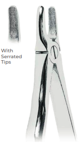 Extracting Forceps with Coderella handle With serrated tips  for Upper incisors and canines  Fig. 2