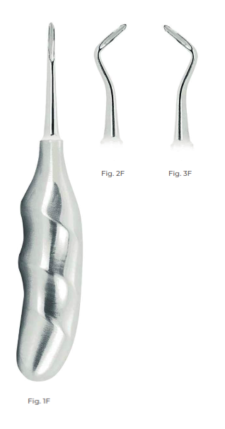 Flohr Root Elevators with Anatomically Shaped Handle in stainless steel Fig. 1F