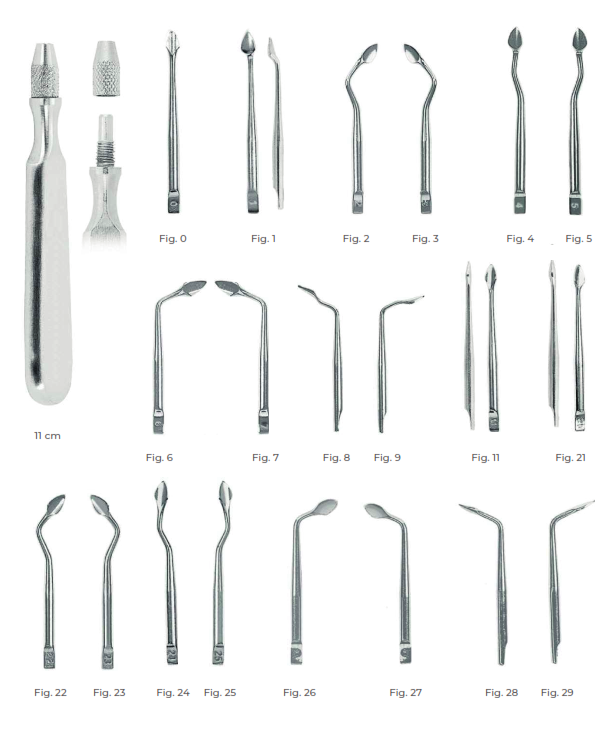 Syndesmotomes Fig. 5