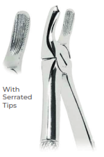 Extracting Forceps for Children With serrated tips for Upper molars, right Fig. 39R