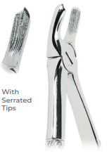 Extracting Forceps for Children With serrated tips for Upper molars, left  Fig. 39L