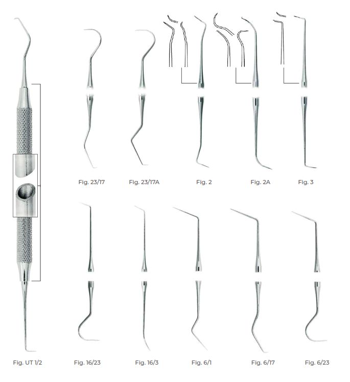 Double-Ended Explorers SC Light Fig. 2A