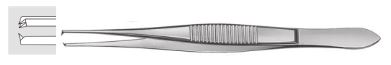 Elschnig Superior Rectus Forceps