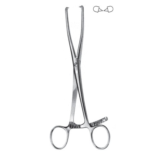 Bone Holding Forceps, 21cm,