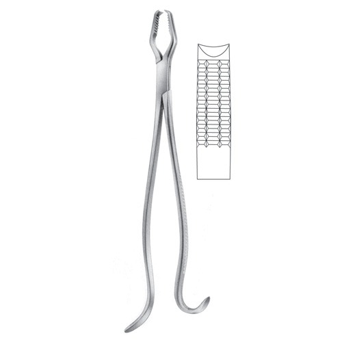 Lane Bone Holding Forceps, 45cm