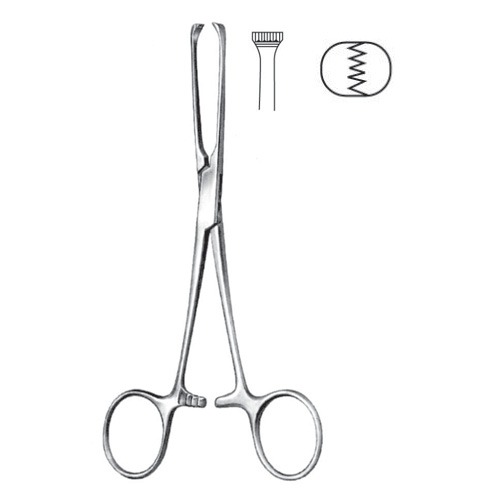 Allis Tissue And Intestinal Forceps, 5x6 Teeth, 25cm