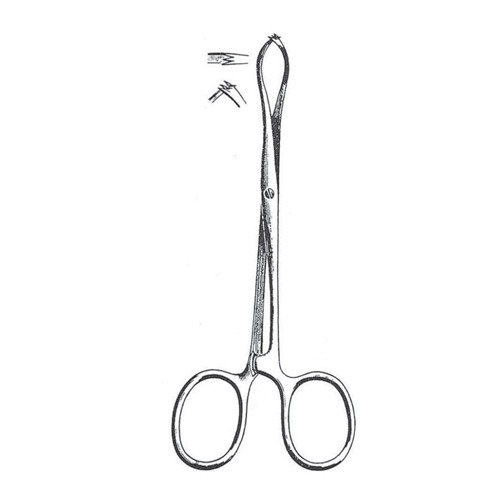 Porrier Tissue And Intestinal Forceps, 12.5cm