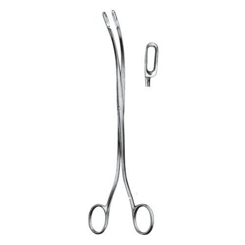 Desjardins Gall Stone Forceps, 23cm