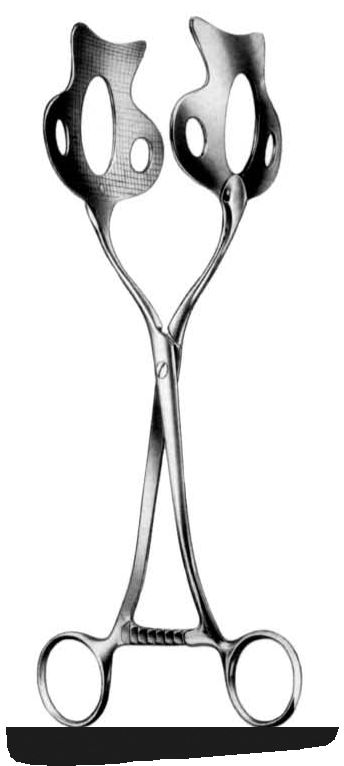 Kocher Kidney Forceps, 26cm