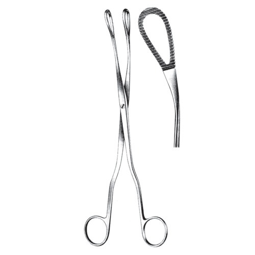 Mc Clintock Placenta And Ovum Forceps, 24cm