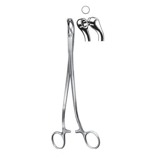 Thoms-Gaylor Cervical Biopsy And Specimen Forceps, 24cm