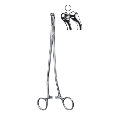 Thoms-Gaylor Cervical Biopsy And Specimen Forceps, 22cm