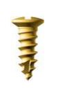 [F13-03] Facial Non Locking Screw, Ø 2.2 , Ø 1.3 , 03 mm , Gold