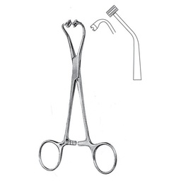 [RG-568-14] Peers Bertram Towel Clamp Forceps, 14.5cm