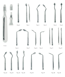 [RDJ-127-05] Syndesmotomes Fig. 5