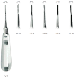 [RDJ-121-53] Bein Root Elevators with stainless steel handle 3 mm Fig. 3B