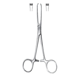 [RAA-112-19] Judd-Allis Tissue And Intestinal Forceps, 19cm