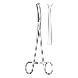 [RZ-176-19] Colver Tonsil Seizing Forceps, Straight, 19cm