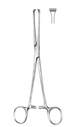 [RAA-116-20] Thoms-Allis Tissue And Intestinal Forceps, 20cm